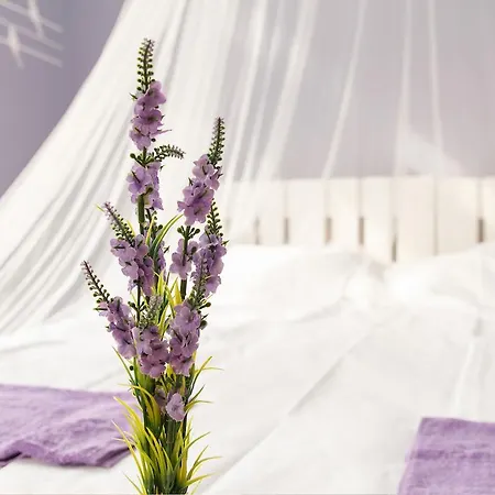 Hostel Yolostel Belgrade